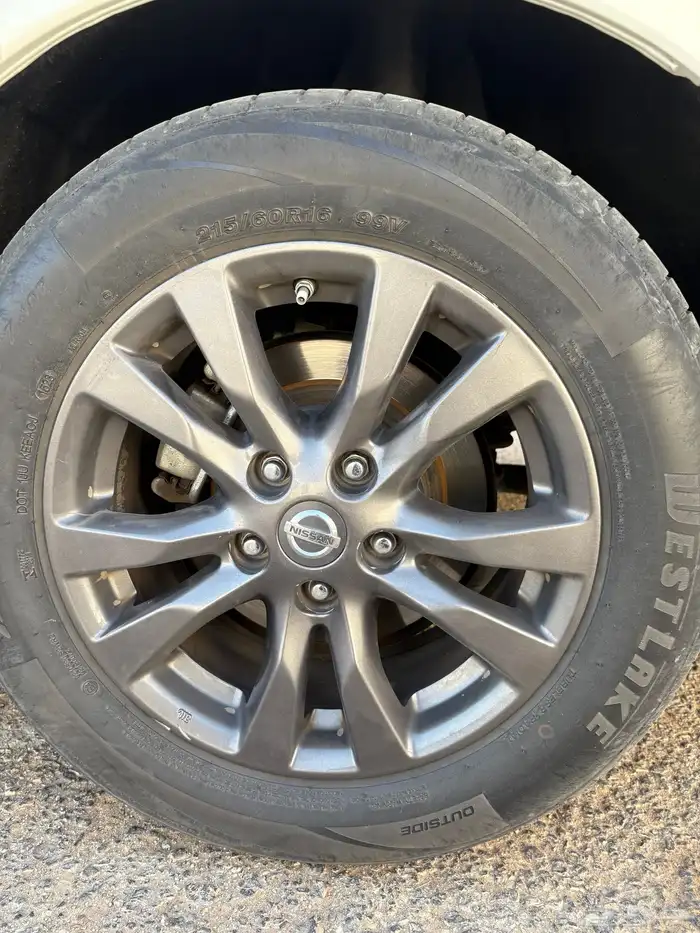 جنوط التيما 0