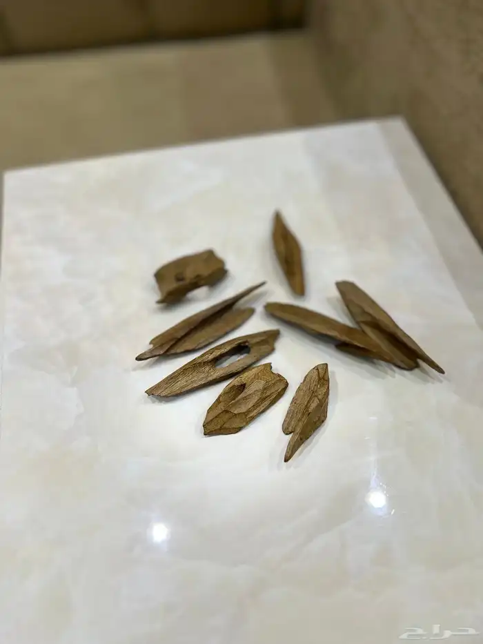 عود سيوفي فتنامي محسن فاخر 0