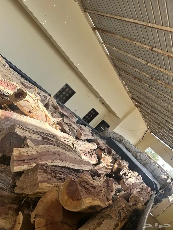 دينه للبيع ش ل ي خ ل 10