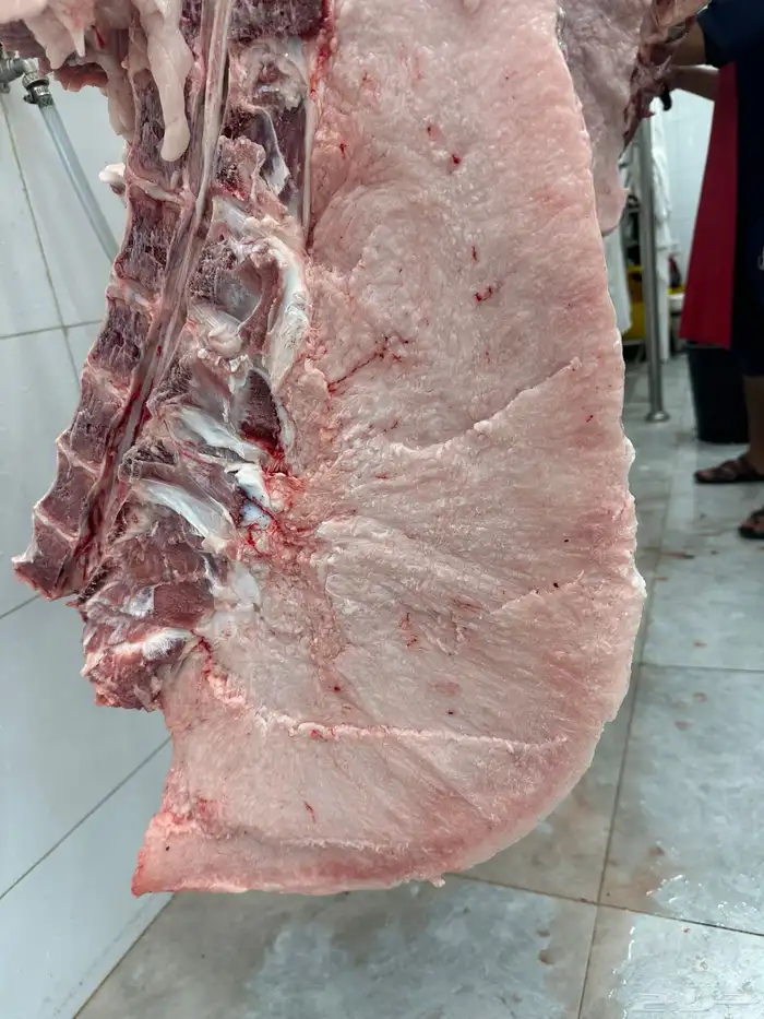 حشو ف اخر وحريات وتيوس ذبح يومي 2