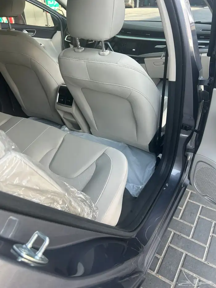 شيري اريزو5 2024 10