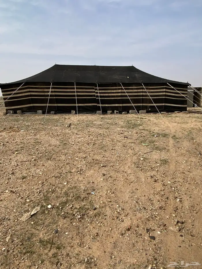 بيت شعر آصلي 12x6 نظيف 3عامود 0