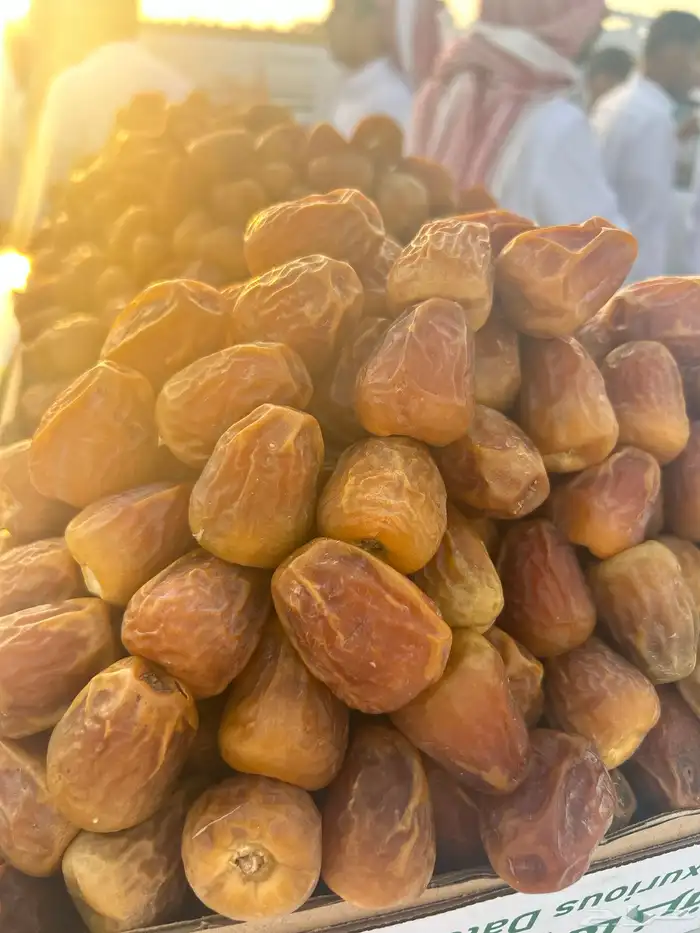 أفخر تمور القصيم ملكي 21