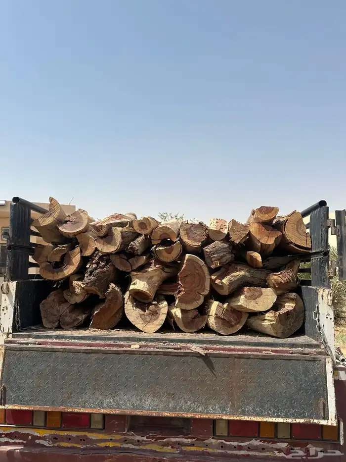 دينه للبيع ش ل ي خ ل 13