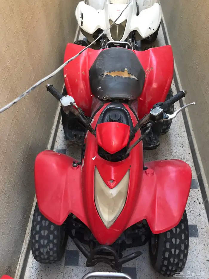 دباب للبيع 250 الشرط 5