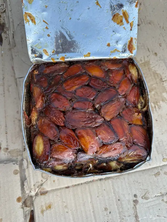 صفري ترج انتاج آلسنه 4