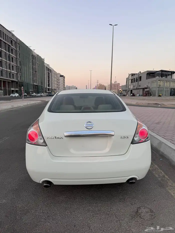 التيما استاندر 2010 1