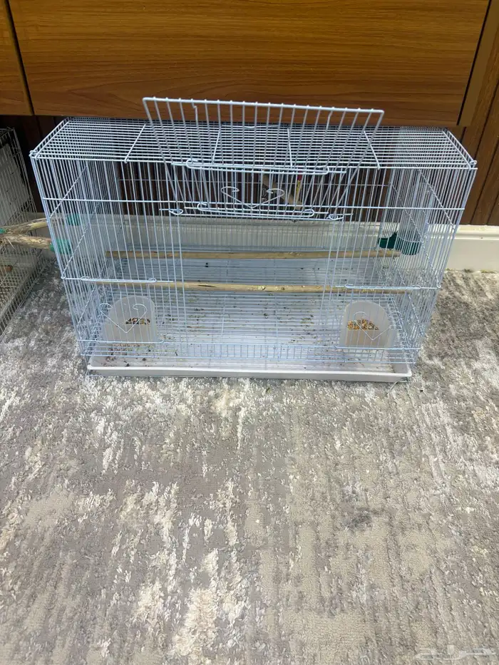 كنيور يلو سايد 4