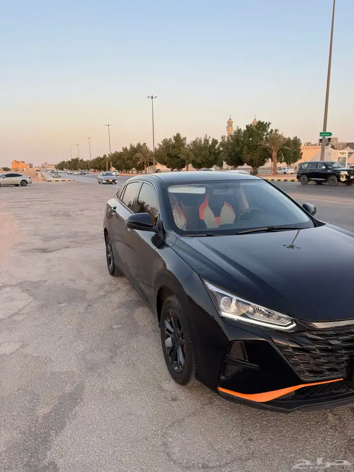 دونج فينج شاين2025 للبيع 4
