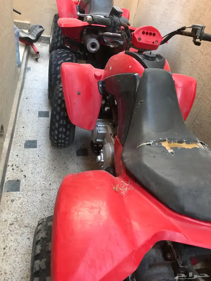 دباب للبيع 250 الشرط 4