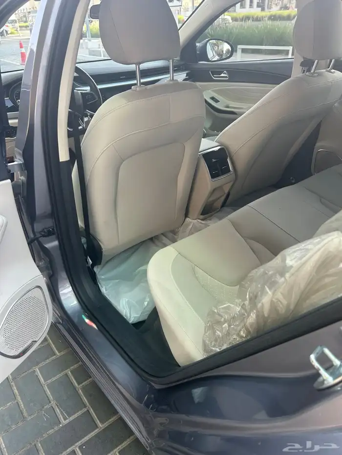 شيري اريزو5 2024 8