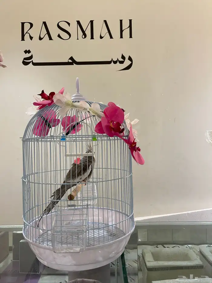 منسق زهور وكوش سوري 35