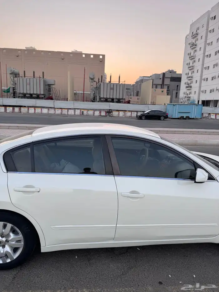 التيما استاندر 2010 3