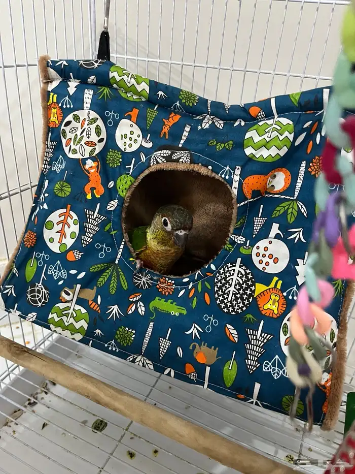 خيمه للنوم حق الطيور جميله جدااا 0