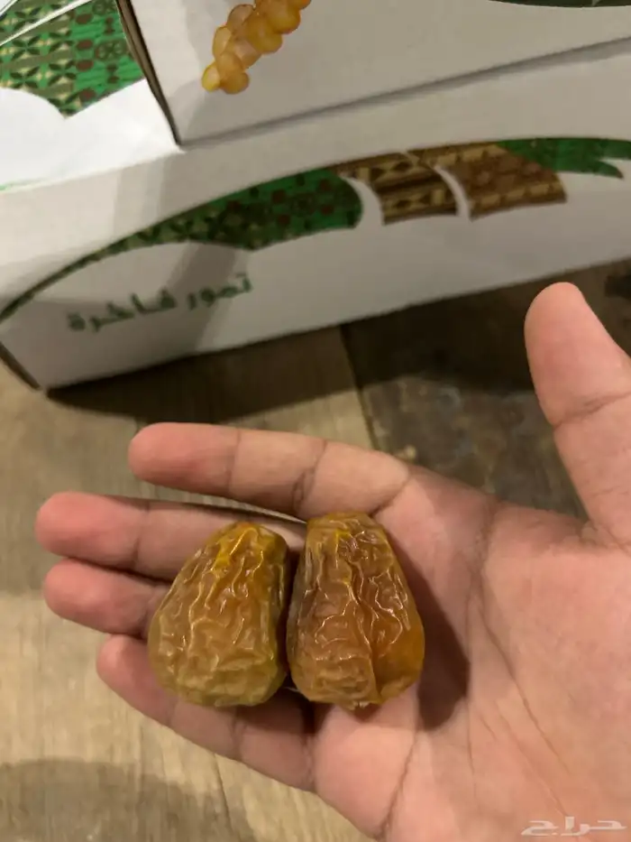 أفخر تمور القصيم ملكي 14