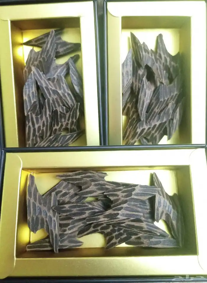 عود تايقر الفيتنامي 6