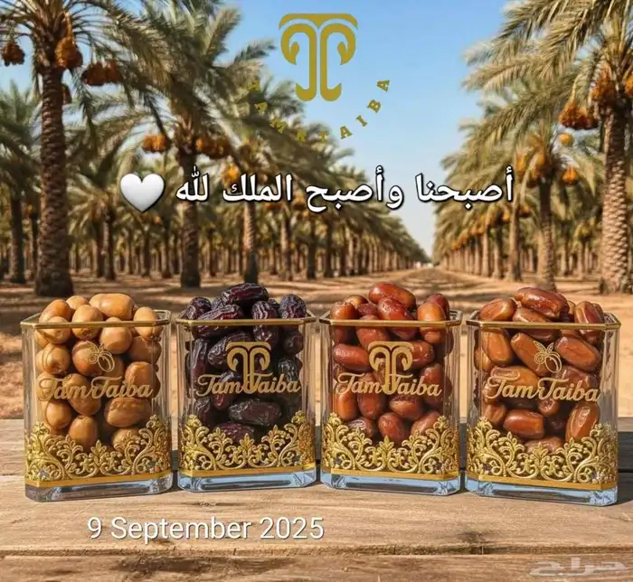 تمور المدينة المنورة شفاء وبركة 2