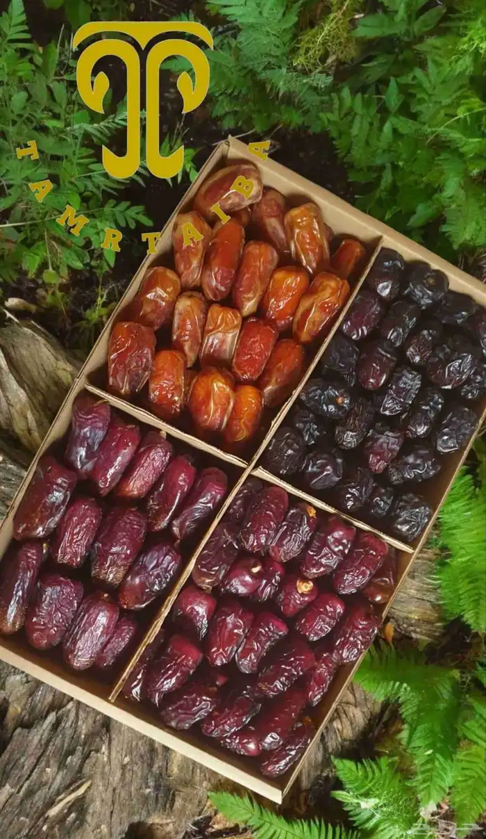 تمور المدينة المنورة شفاء وبركة 0