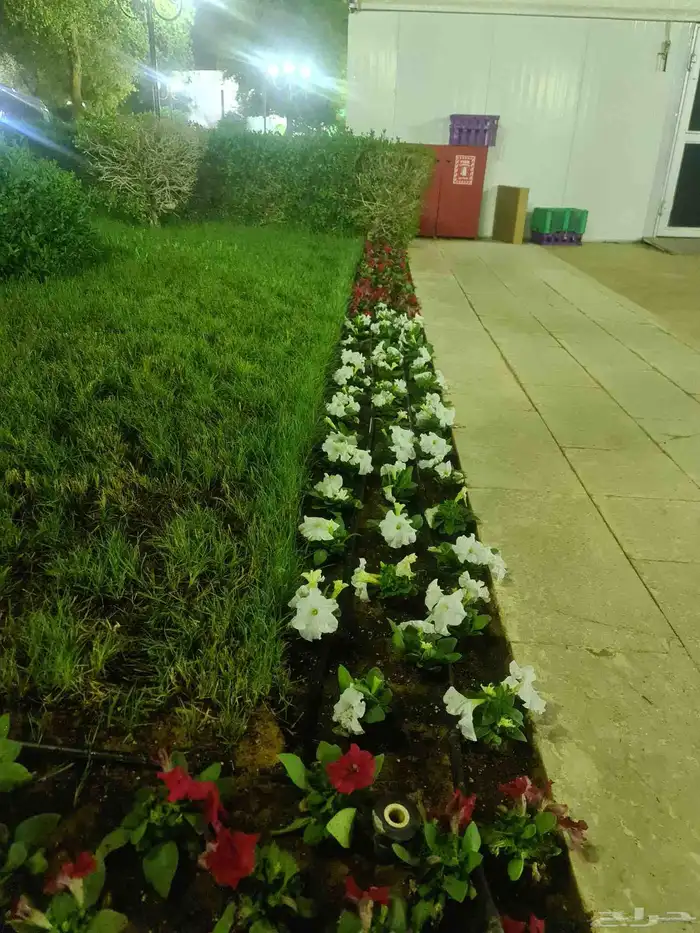 مشاتل حي الملك فهد 4