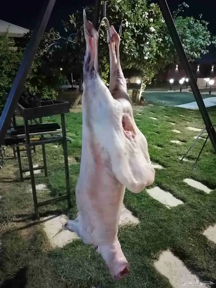 معلم شوي مشويات مشاوي 1