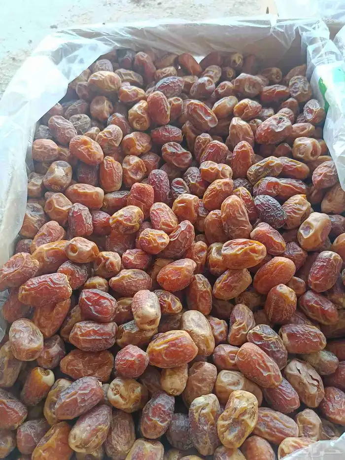 تمر للبيع منيفي ونبته علي 0