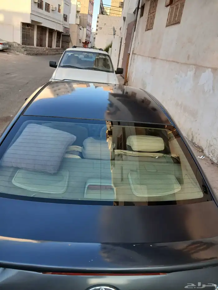 المدينة المنورة 2010 3