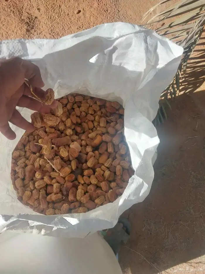 يوجد لدينا تمور حلال كيس ملان وتمر نظيف 4