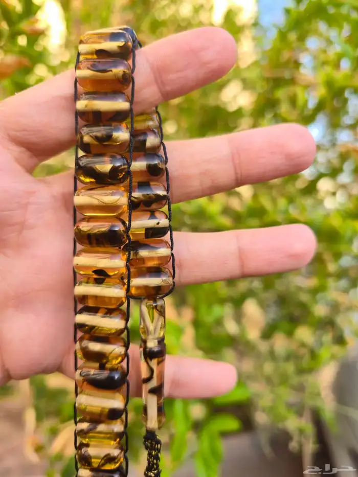 سبح بتصميم يوناني فخمة 4