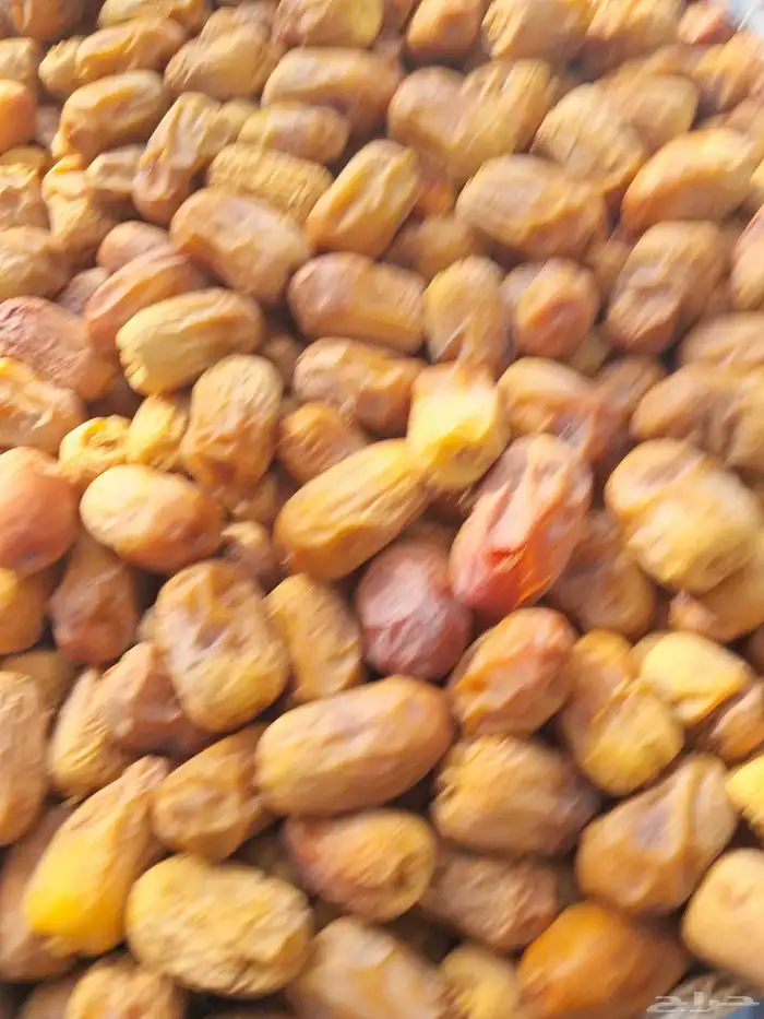 تمر خلاص ورشودي ونبوت علي حبه ميه بالميه 1