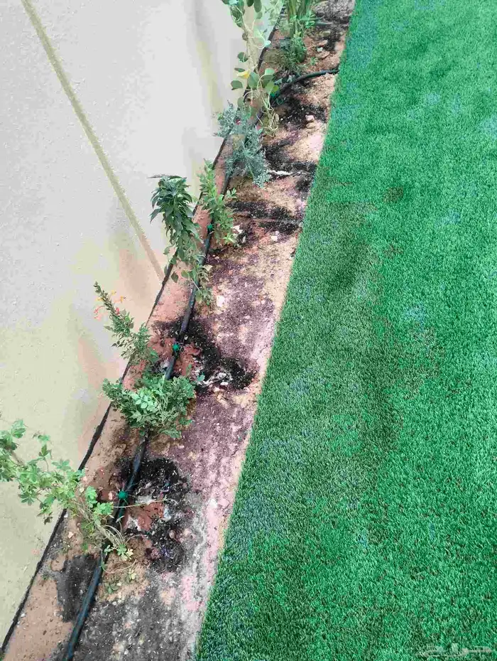 تصميم وتنسيق الحدائق وتركيب التيل الطبيعي وشبكات الري الحديث 17