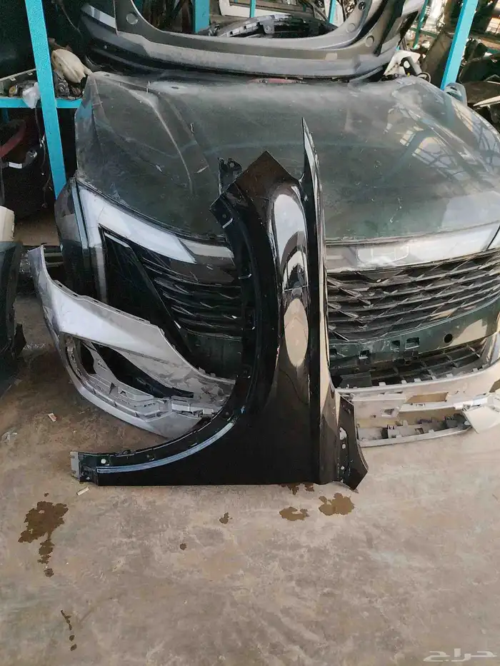 رفارف جلي مونجارو 2022 3