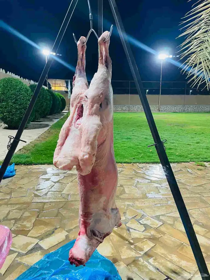 معلم شوي مشويات مشاوي 8