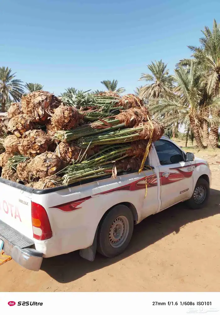 مقاول شبوك ونخيل 0