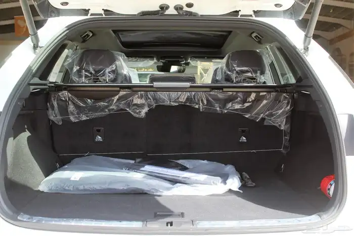 لكزس - RX350 CC - بريمي - 2025 - فل كامل 24