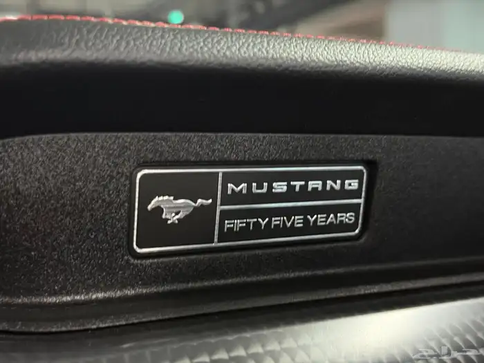 للاستيرادمن كوريا  فورد موستينج 2020 3