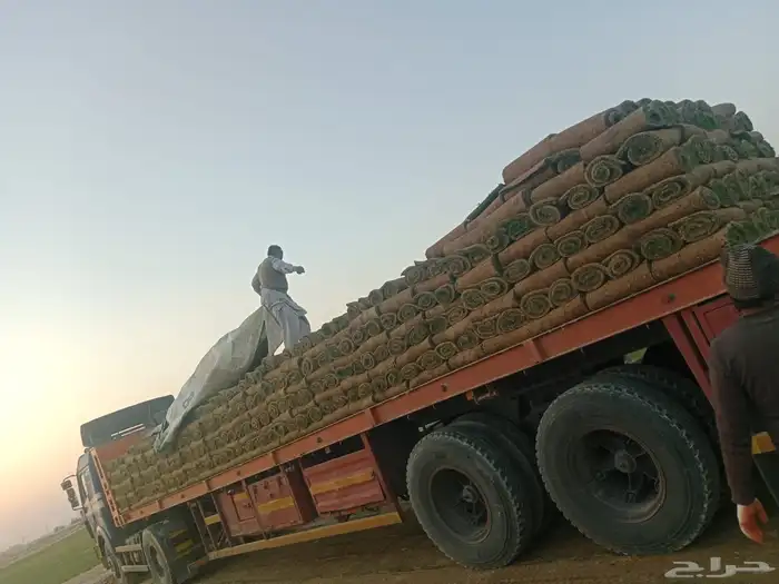 تصميم وتنسيق الحدائق وتركيب التيل الطبيعي وشبكات الري الحديث 14