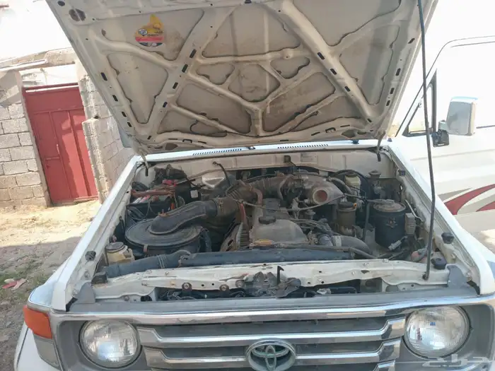 شاص 2006 5