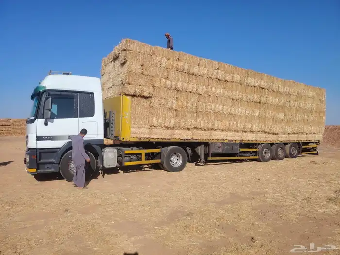 تبن بر حولي وجديد والدفع عند الوصول 8