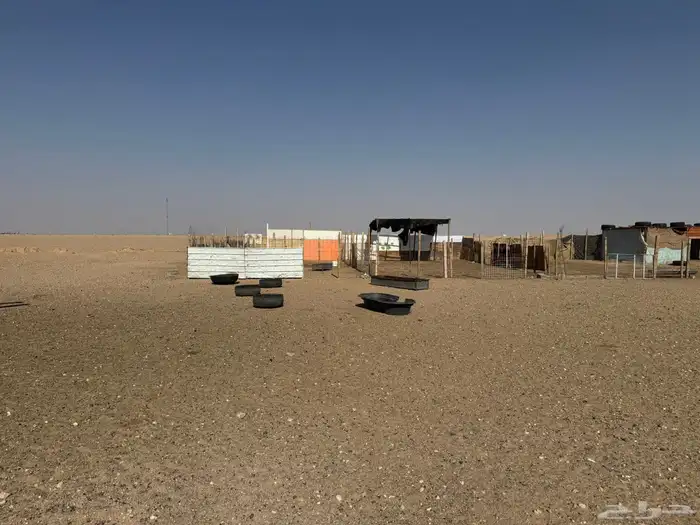 للبيع مراح كامل الموقع طريق الشمال جنوب محطة الوائليه 6