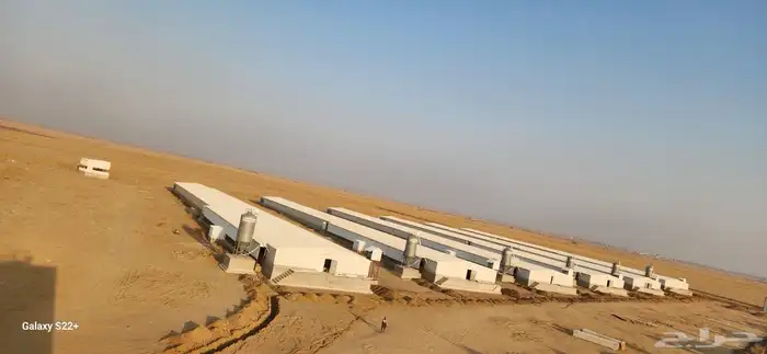 موسسه مقاولات لأنشاء حضائر الدواجن واللوحات الكهربائيه 31