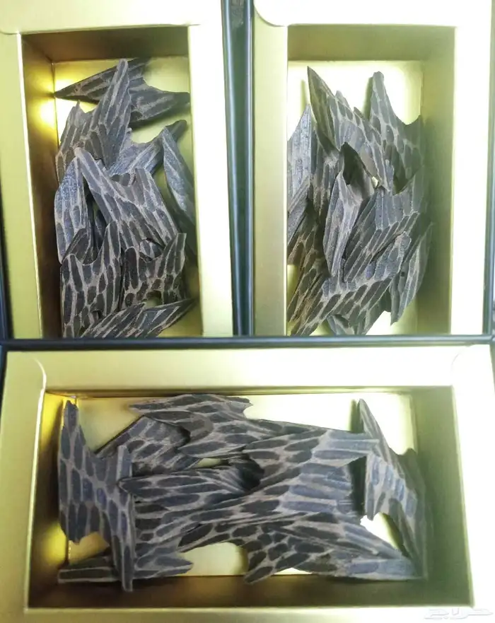 عود تايقر الفيتنامي 4