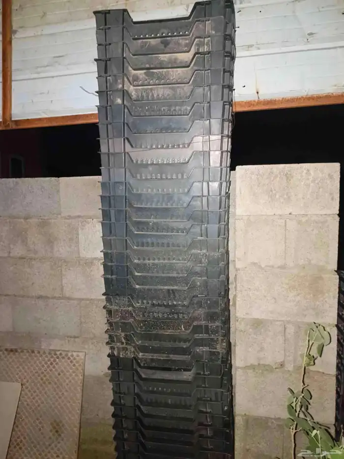 للبيع سلات خضار مستخدمه العدد حول 95 الاغلب نضيف 1