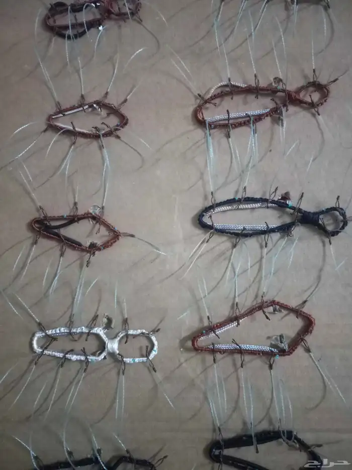 شبك لصيد الصقور 2