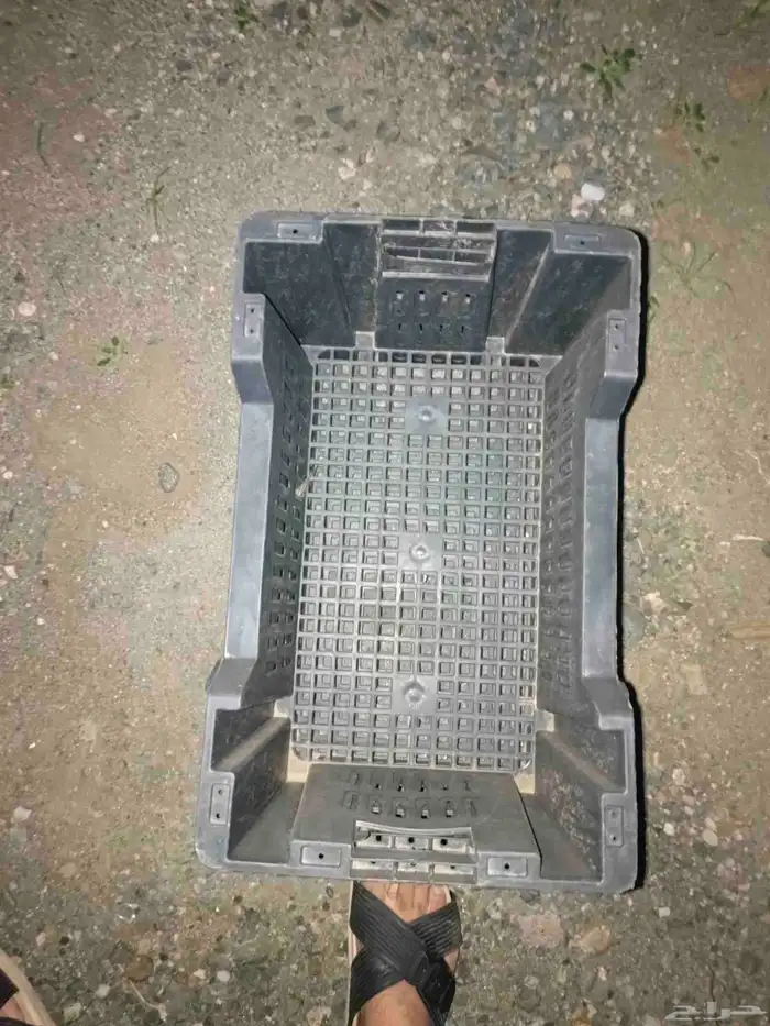 للبيع سلات خضار مستخدمه العدد حول 95 الاغلب نضيف 3