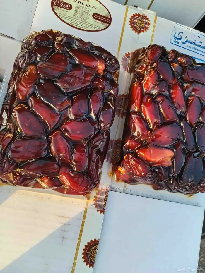 تمر خضري وخلاص 1