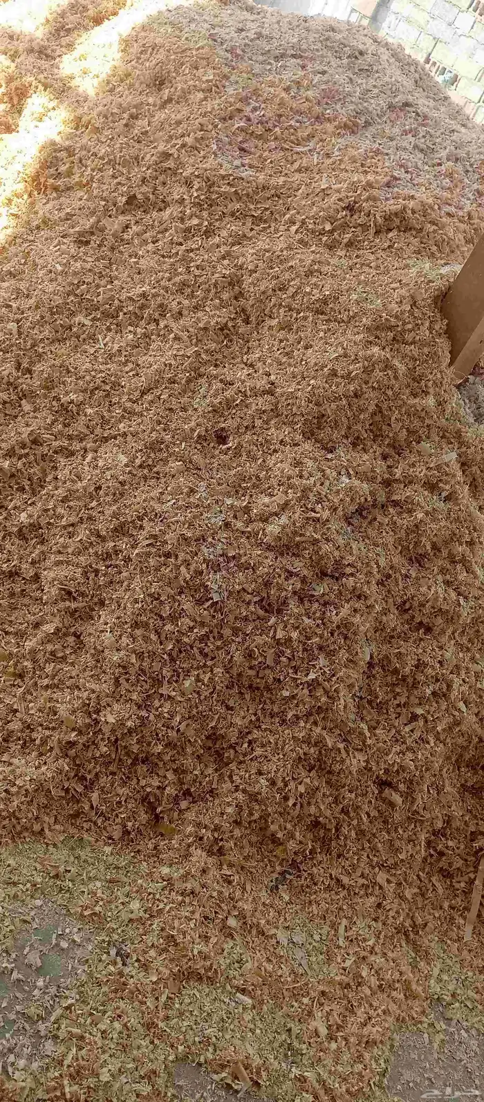 يوجد لدينا نشارة دواجن بكميات كبيره وزن الكيس10كيلو 0