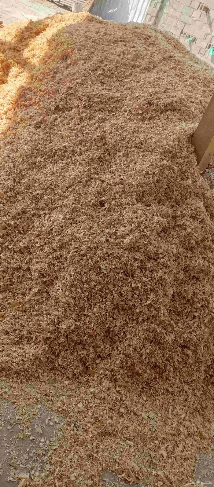 يوجد لدينا نشارة دواجن بكميات كبيره وزن الكيس10كيلو 1