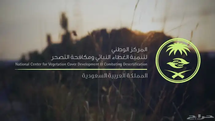 تصوير جوي درون وأرضي بأسعار مغرية 0