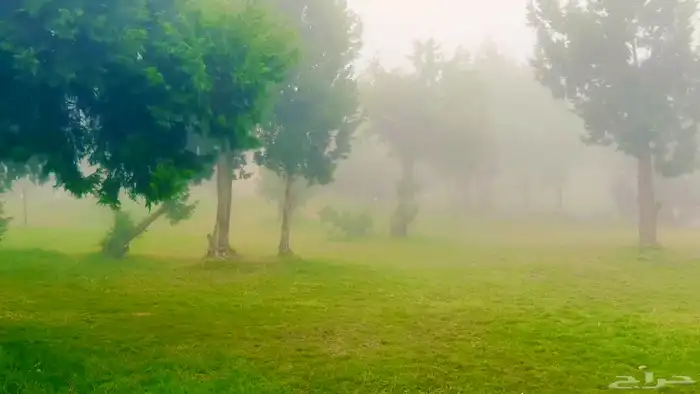 تصوير جوي درون وأرضي بأسعار مغرية 85