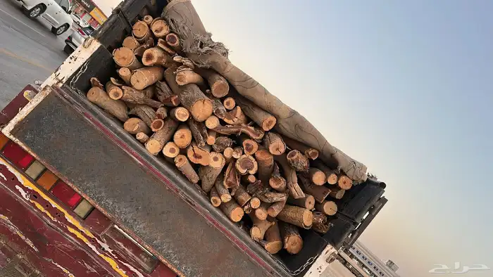 دينه للبيع ش ل ي خ ل 1